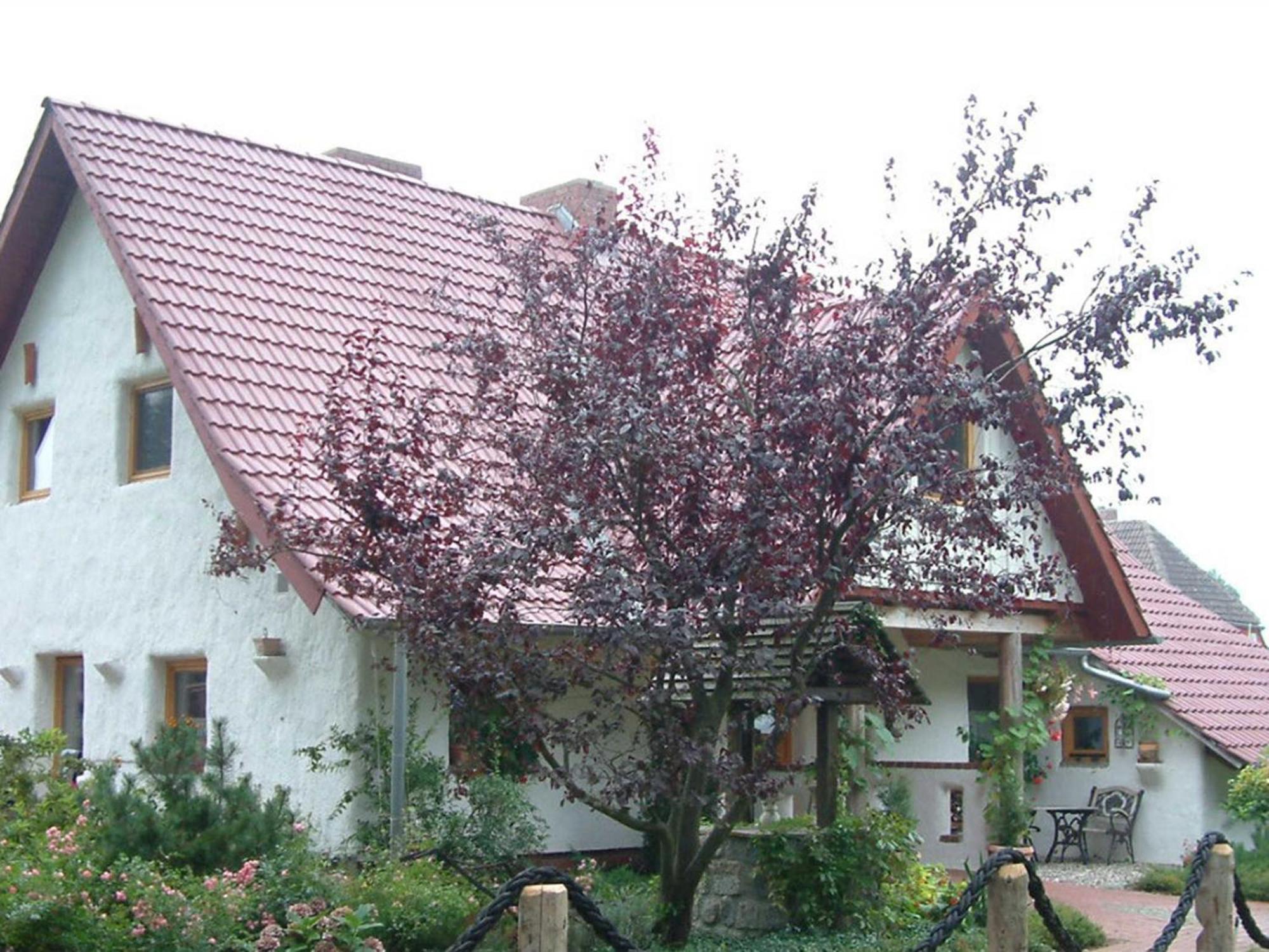 Appartement Haus Jasmin à Bodstedt Extérieur photo
